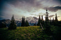 Rainier at Dusk — Photography Print