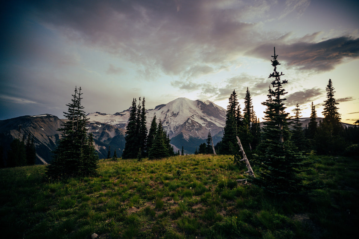 Rainier at Dusk — Photography Print